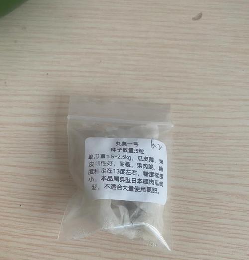 种子催芽时出现异味如何处理？