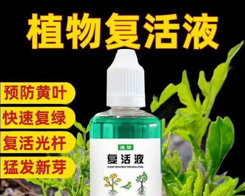 僵苗催芽的最佳方法是什么？如何确保种子快速发芽？