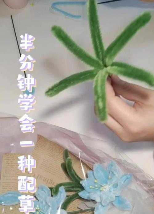 南方水竹修剪枝条的最佳时机是什么时候？如何正确修剪？