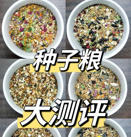 浆果型种子催芽方法是什么？需要多长时间才能发芽？