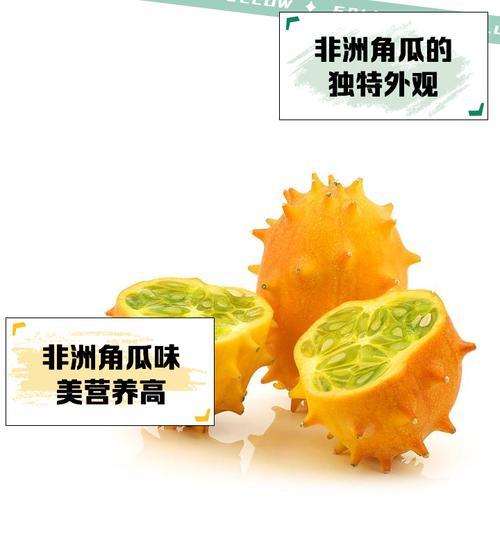 八角瓜种植方法有哪些？如何确保高产？