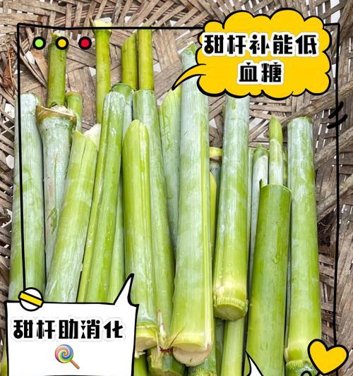 甜高粱种子催芽方法是什么？需要多长时间？