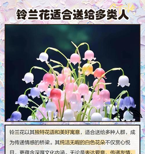 104朵花的寓意是什么意思？花语背后的含义是什么？