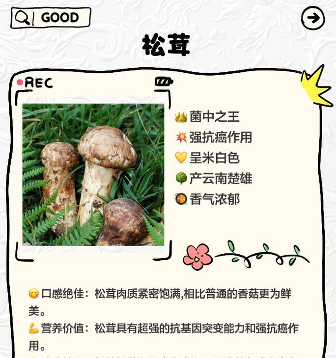 蘑菇种植保养方法有哪些？如何确保蘑菇健康成长？