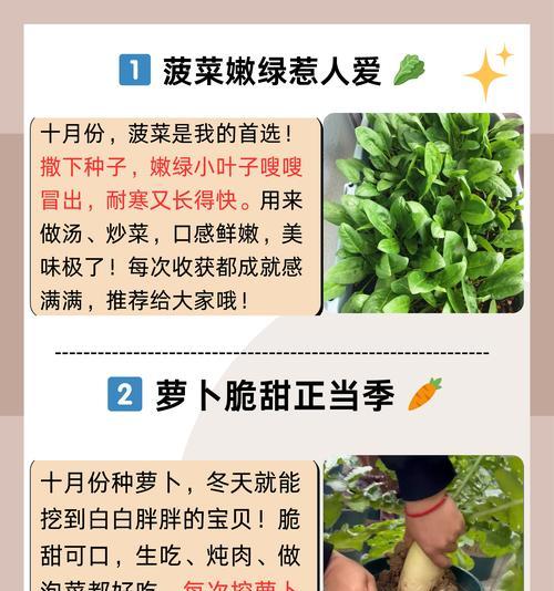 家用蔬菜种子催芽方法有哪些？催芽过程中应注意什么问题？