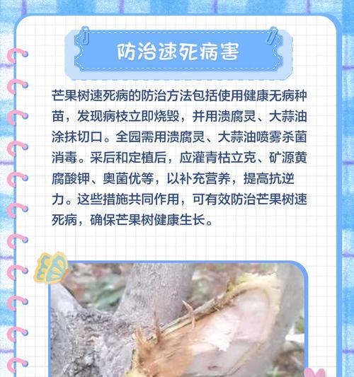 芒果修剪枝丫的最佳时期是什么时候？修剪后如何促进新芽生长？
