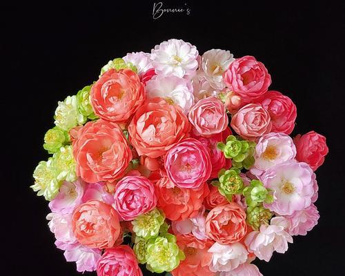 红橙花修剪枝条的最佳时机是什么时候？修剪后如何护理？