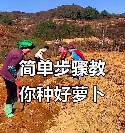 白萝卜怎么种植方法？详细步骤和注意事项是什么？
