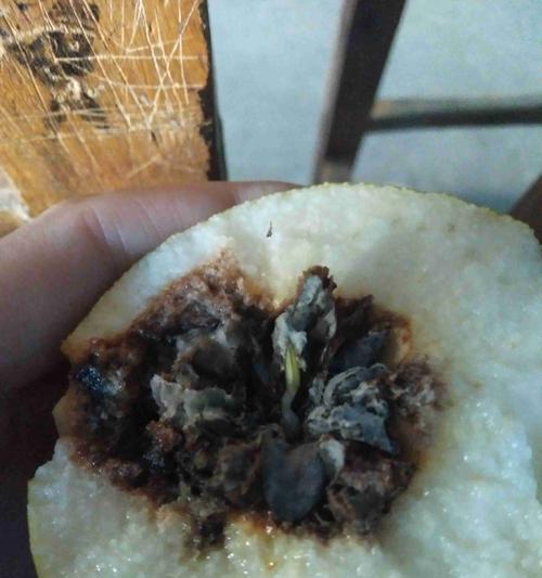 梨子核催芽方法是什么？需要多长时间才能发芽？