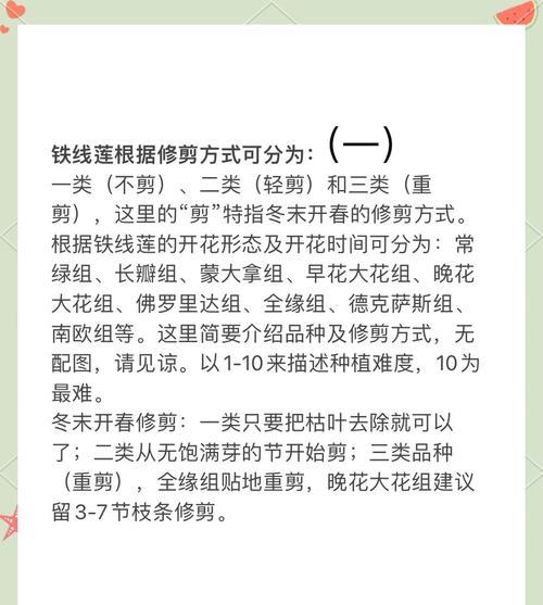 铁树每年修剪枝条的最佳时间是什么时候？修剪后如何护理？