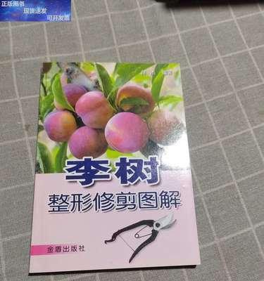李树修剪枝的最佳方法是什么？修剪后如何促进生长？