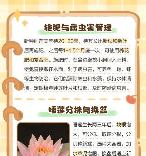 北极星荷花种植方法是什么？如何正确种植北极星荷花？