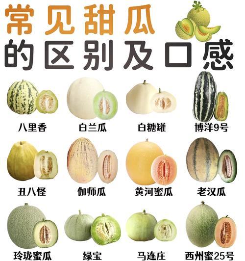 蜜瓜在家怎么种植方法？有哪些步骤和技巧？
