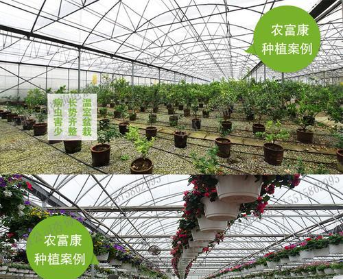 种植菌液怎么使用方法？正确步骤和注意事项是什么？