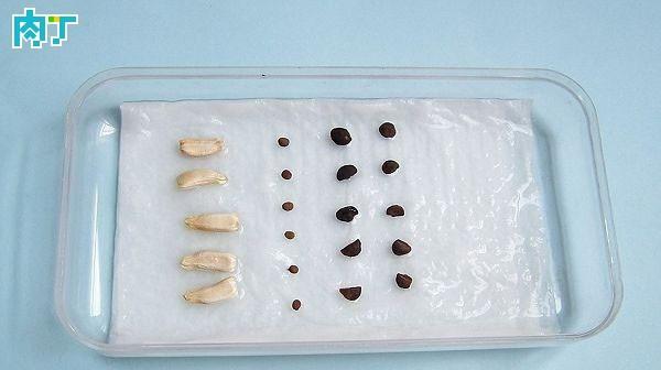 蔬菜恒温催芽箱使用方法是什么？常见问题有哪些解决办法？