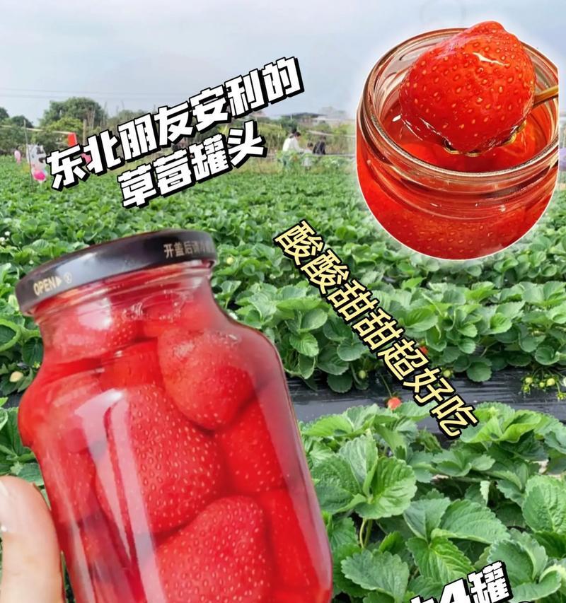 罐头草莓催芽方法是什么？需要多长时间才能发芽？
