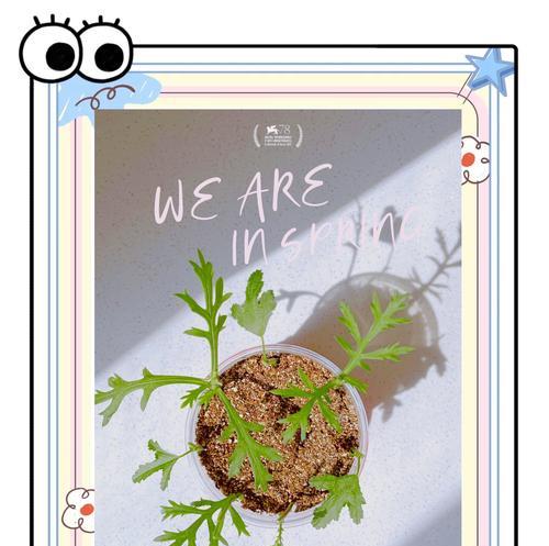 木槿修剪枝条的最佳时机是什么时候？修剪后如何护理？
