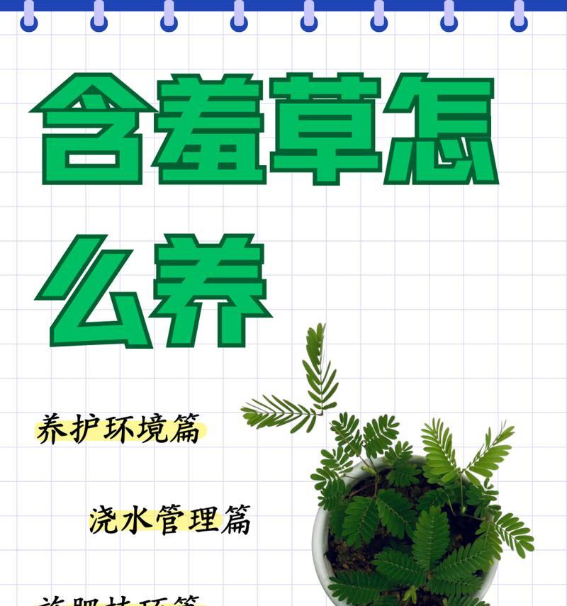 含羞草催芽种植方法是什么？如何提高发芽率？