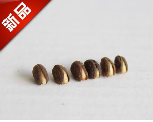 野人参种子催芽的最佳方法是什么？步骤和注意事项有哪些？