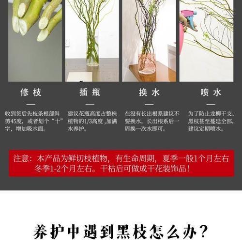 龙柳修剪枝叶的最佳时机是什么时候？修剪后如何护理？