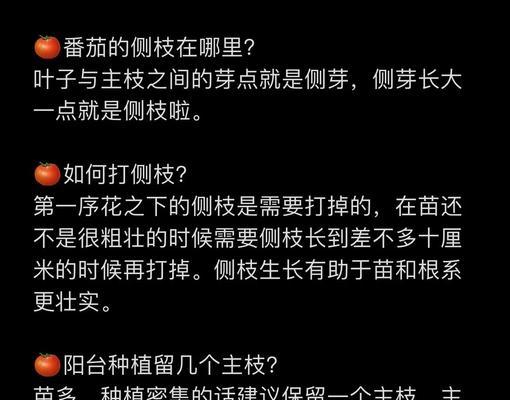 西红柿修剪枝子怎么修？修剪的最佳时机和方法是什么？