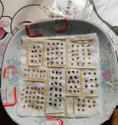鲜桃催芽的最佳方法是什么？如何确保高成功率？