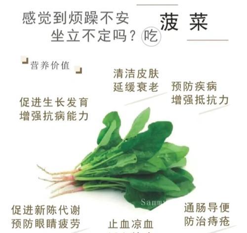 高温环境下菠菜种子催芽的最佳方法是什么？