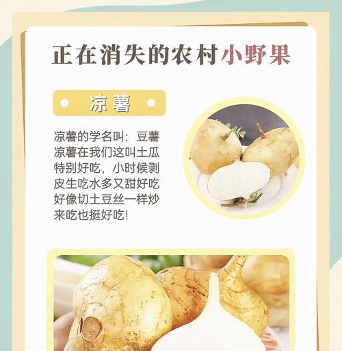土瓜种植方法有哪些？如何确保土瓜高产？