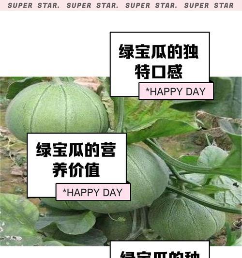 绿宝甜瓜种植方法是什么？如何确保高产丰收？