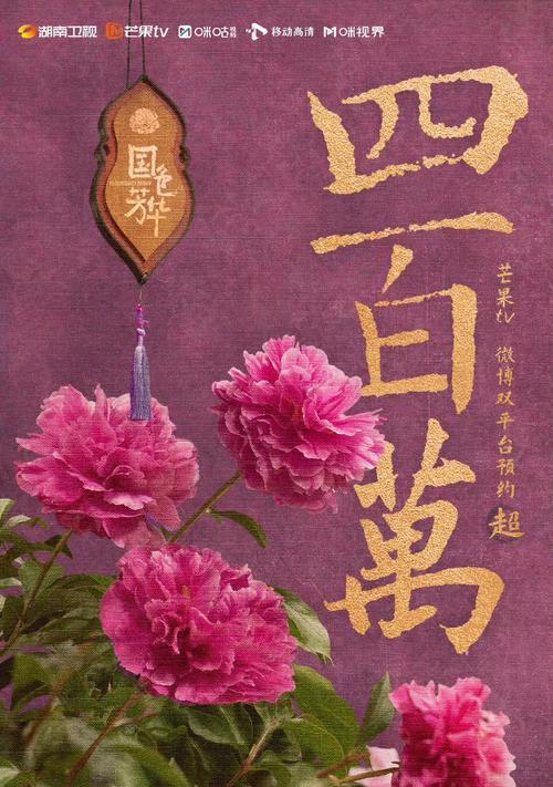 夏季蝴蝶兰的养护技巧和常见问题