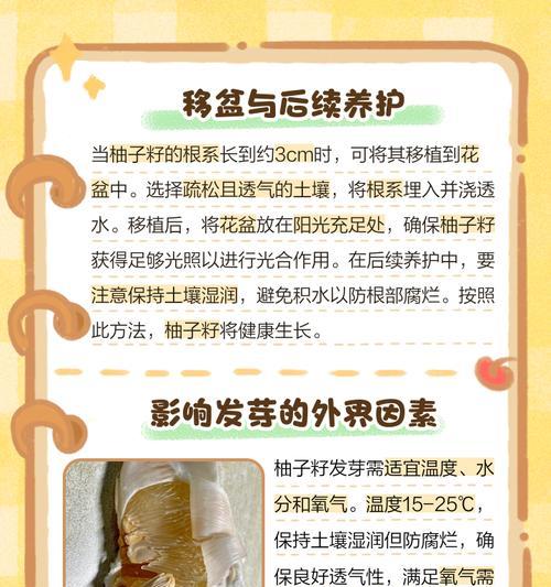 柚子怎么催芽水培：全面指南与技巧