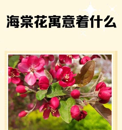 养花怎么养？新手入门养花的五大误区