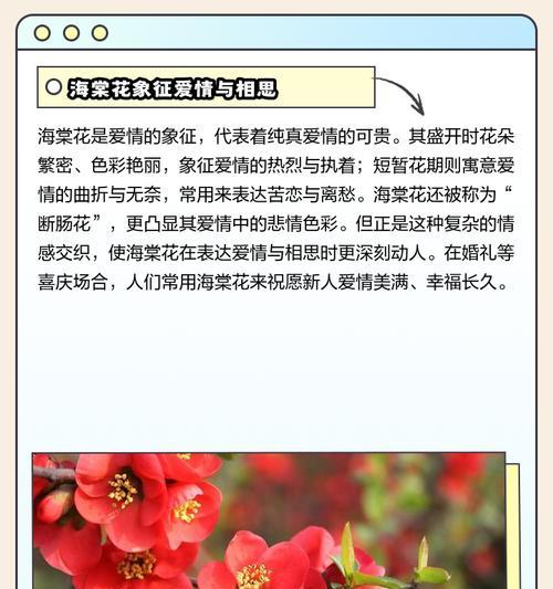 养花怎么养？新手入门养花的五大误区