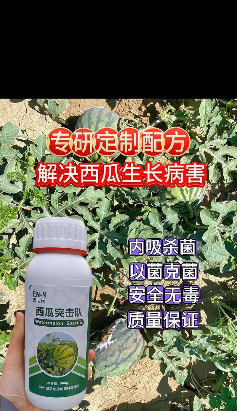 仙人掌西瓜的栽培秘籍：你不知道的种植方法