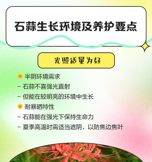 石蒜怎么催芽最快