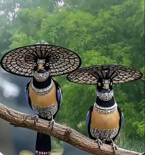 一朵花和一只鸟的寓意是什么？它们在文化中代表什么意义？