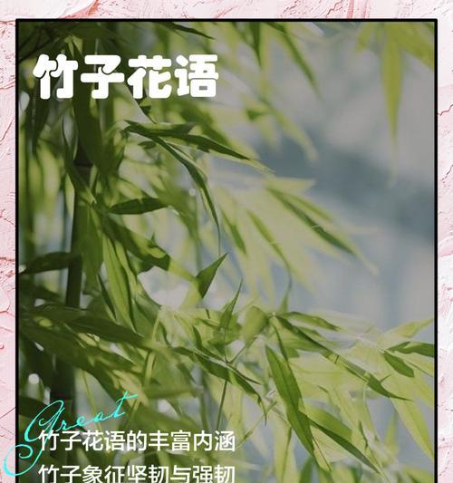 漫步沙滩花语是什么？沙滩上的花语代表了什么含义？