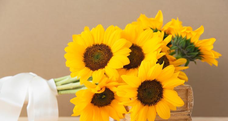 乔迁拿花的寓意是什么意思？为何新居要送花？