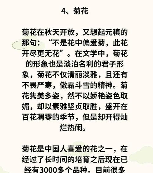 喜花的寓意和象征是什么？如何正确解读喜花的深层含义？