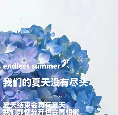 不能相聚的花语是什么？花语中隐藏的含义有哪些？