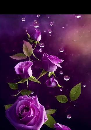 紫色的花代表什么花语？紫色花卉的象征意义有哪些？