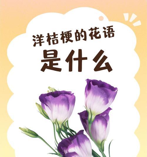 爱什么什么的花语是什么意思？常见问题解答