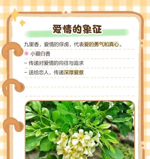 什么花代表勇气？揭秘勇气花语的花卉有哪些？