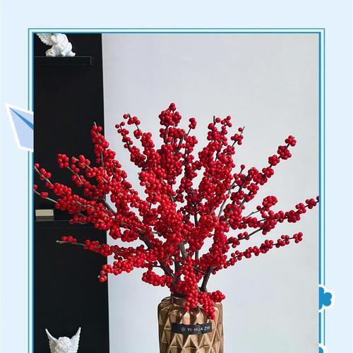 北美冬青的花语是什么？如何用它表达情感？