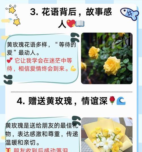 玫瑰各个花语是什么？不同数量的玫瑰代表什么含义？
