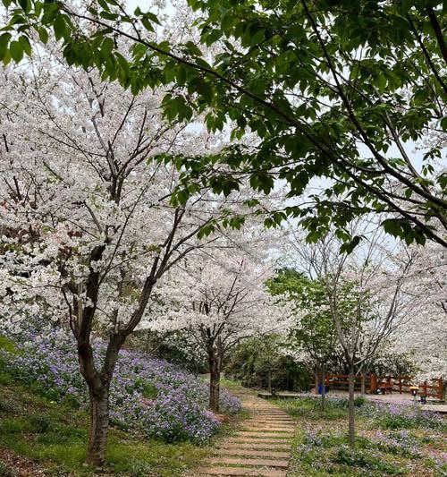 桃梨花束花语是什么？送花时应该注意什么？