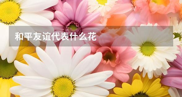 什么花象征和平？揭秘和平花语背后的含义？