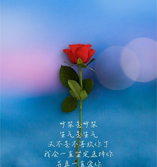 守护情绪的花语是什么？如何通过花朵表达情感？