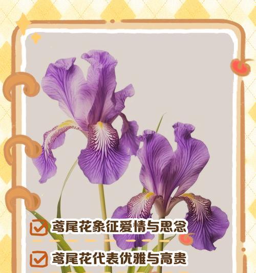 贺年花的寓意与象征是什么？春节送花有哪些讲究？