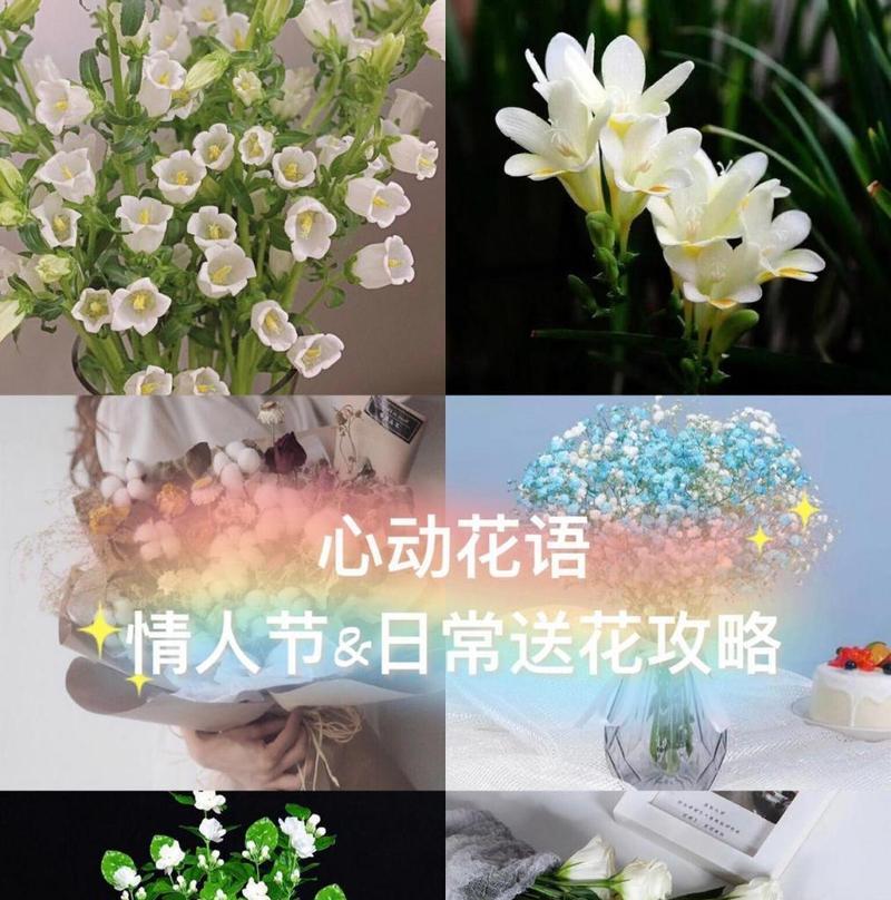 温柔心动花语是什么？如何用花语表达爱意？
